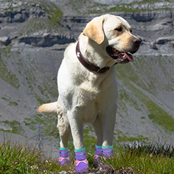 4ks Prodyšný Fleece Pes Boty Větruodolný Obecné Tlapky Ochranu Boty Pro Chůzi