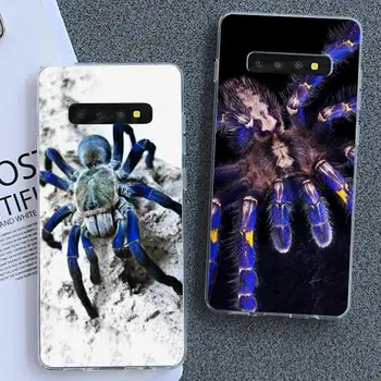 Modrá děsivý pavouk pet Telefon Pouzdro pro Samsung Galaxy S10 Plus S10E S6 S6edge S7edge S8 S9 Plus S10lite S20 Plus Ultra